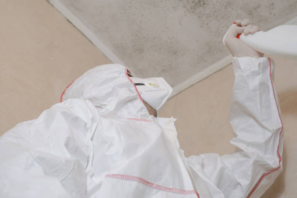 Crawl Space Mold Removal in Olivarez, TX