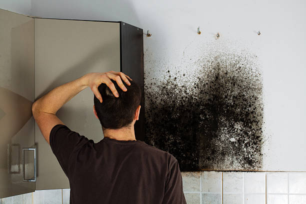 Best Emergency Mold Removal  in Olivarez, TX