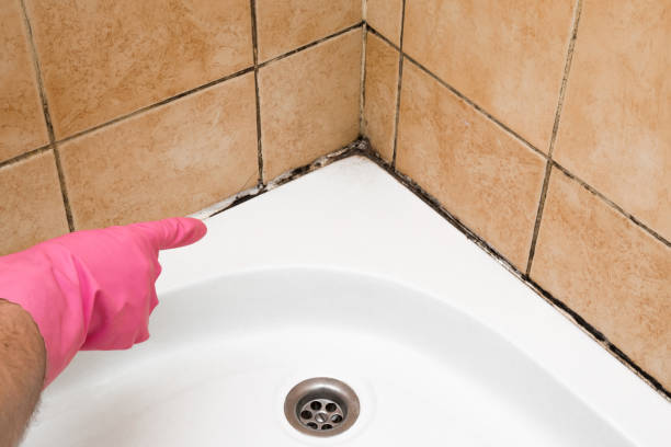 Best Mold Removal Near Me  in Olivarez, TX